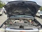 2005 Ford Super Duty F-350 W/S