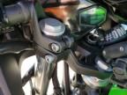 2025 Kawasaki EX500 H