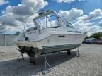 1990 Sea Ray Sundancer 310-Boat
