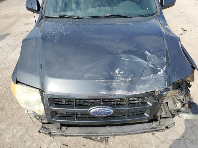 2008 Ford Escape Limited