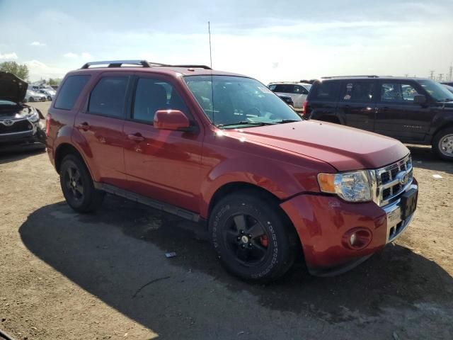 2011 Ford Escape Limited