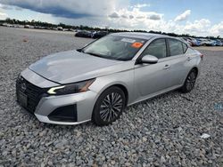 Salvage cars for sale from Copart Arcadia, FL: 2023 Nissan Altima sv