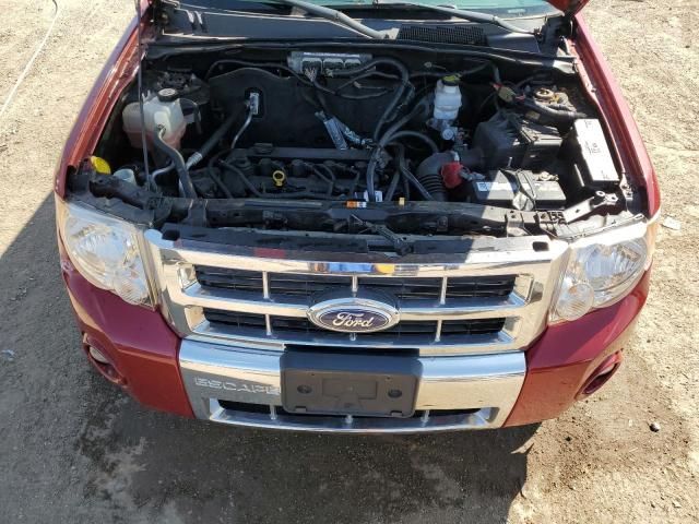 2011 Ford Escape Limited