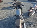 2024 Harley-Davidson Fxst