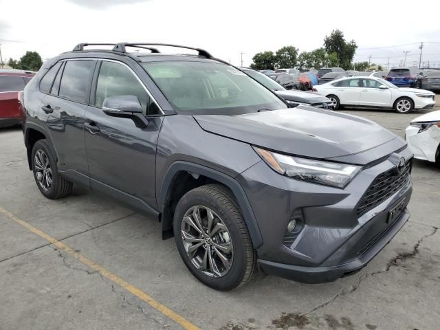 2025 Toyt 2025 Toyota Rav4 XLE Premium
