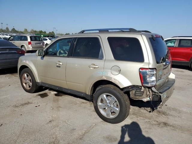2011 Ford Escape Limited