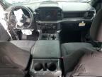 2024 Ford F150 STX