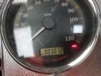 2007 Harley-Davidson Flhrci