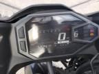 2024 Kawasaki EX500 H