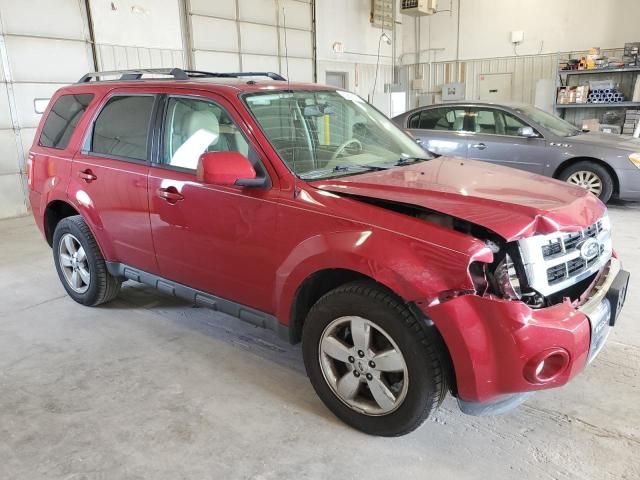 2011 Ford Escape Limited