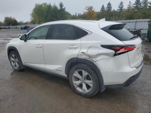 2015 Lexus NX 300H