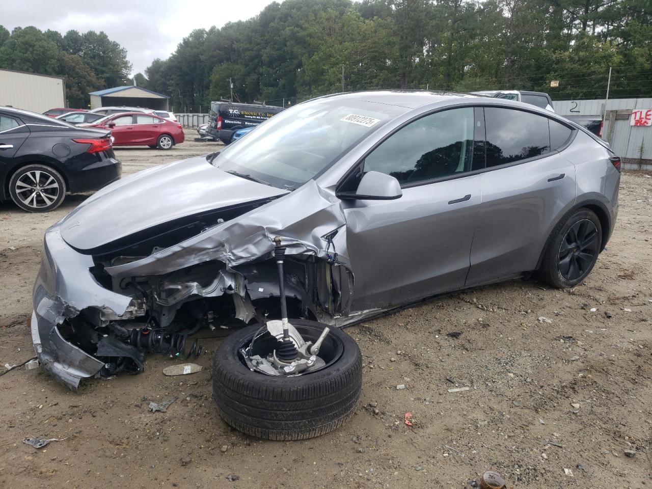 2024 Tesla Model y