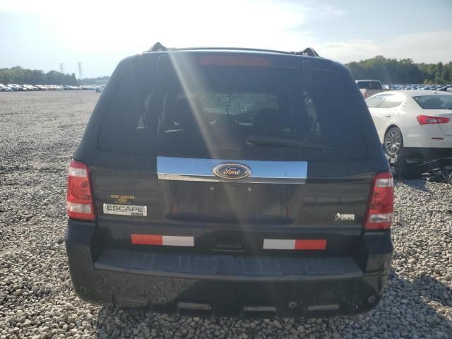 2011 Ford Escape Limited
