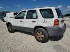 2006 Ford Escape xls