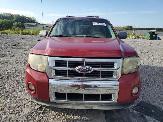 2010 Ford Escape Limited
