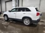2011 KIA Sorento EX