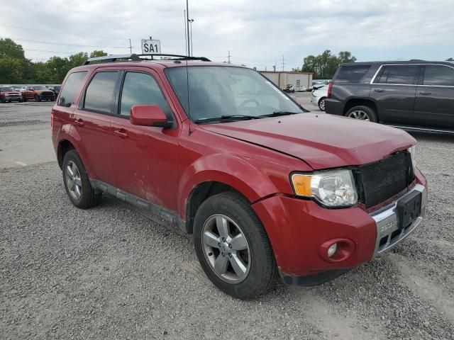 2011 Ford Escape Limited