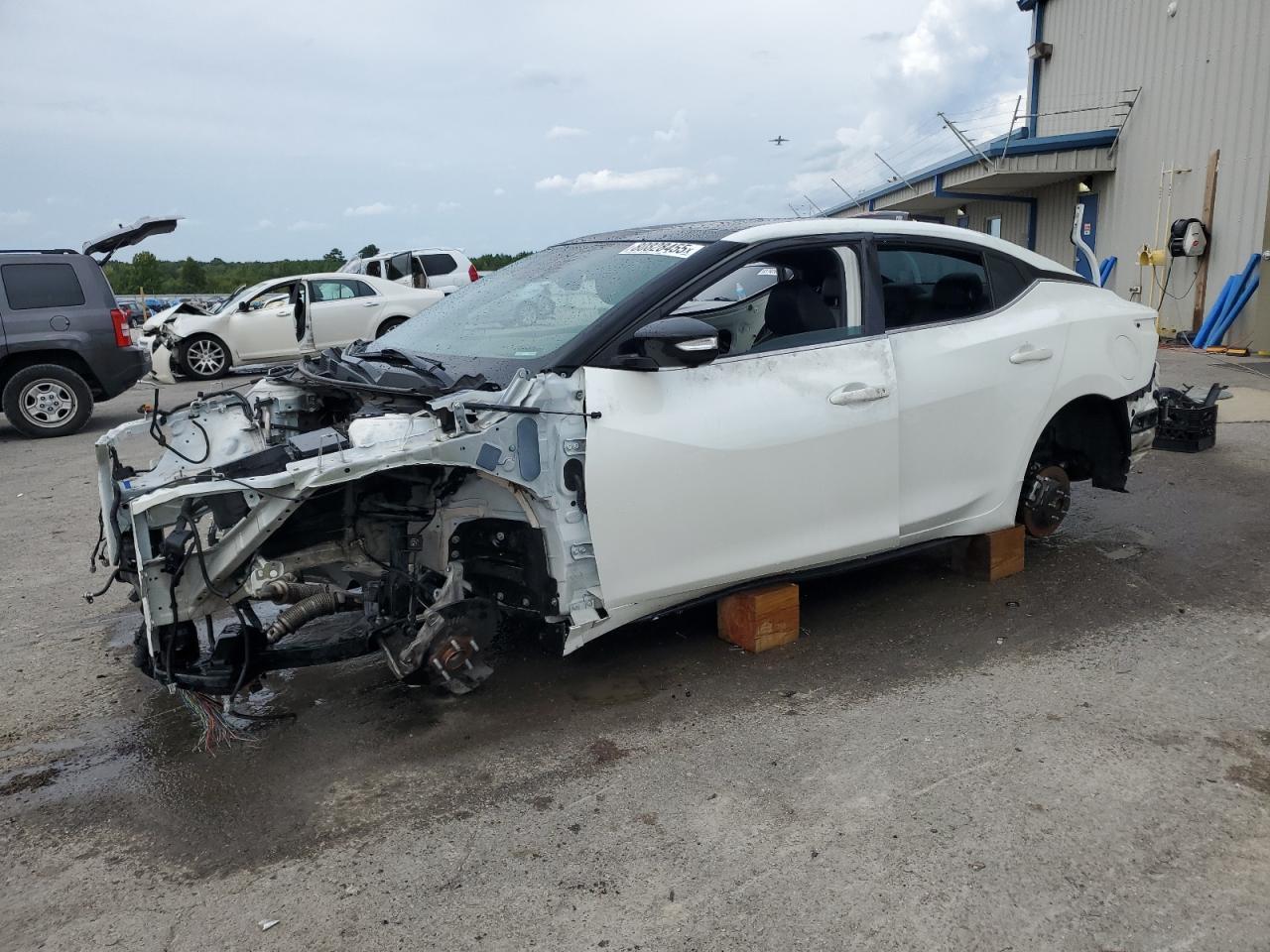 2020 Niss Maxima 3.5 sr