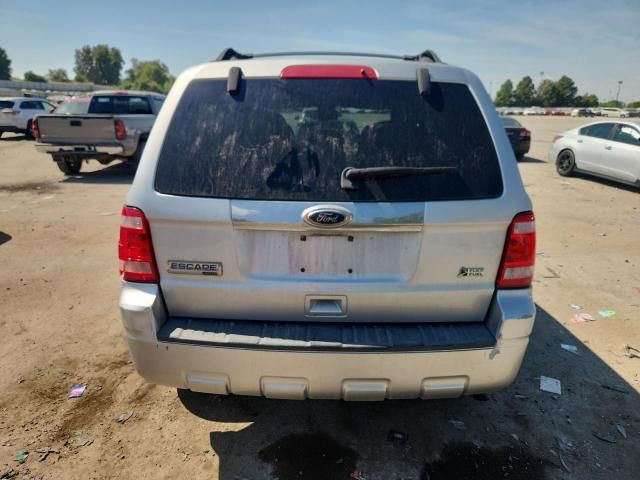 2010 Ford Escape Limited