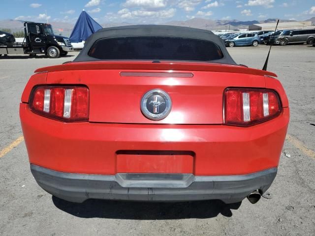 2010 Ford Mustang
