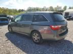 2011 Honda Odyssey exl