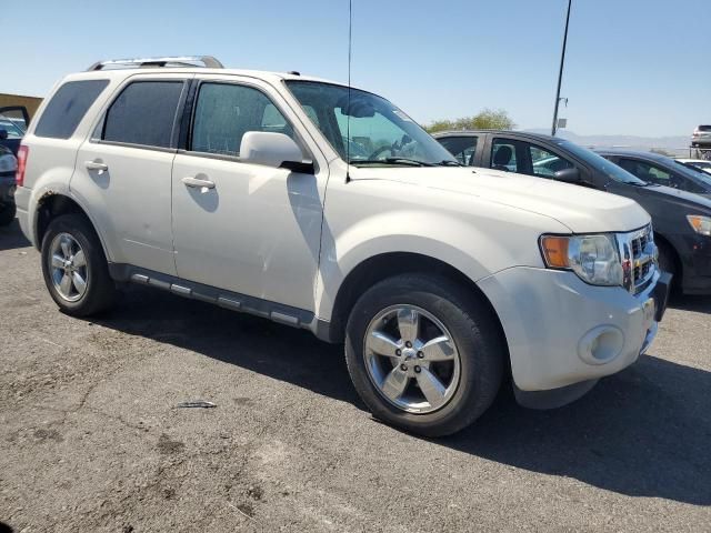 2011 Ford Escape Limited
