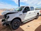 2025 Ford F150 Lightning PRO