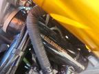 2024 BMW G310 R