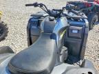 2024 Cf Moto Cforce 600