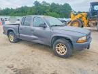 2003 Dodge Dakota Quad Sport