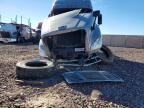 2017 Freightliner Cascadia 125 Semi Truck