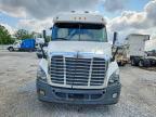 2014 Freightliner Cascadia 113