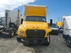 2026 International MV607 BOX Truck