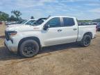 2024 Chevrolet Silverado K1500 PPV