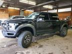 2018 Ford F150 Raptor