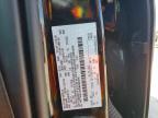 2024 Ford F150 XLT