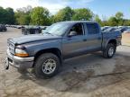 2003 Dodge Dakota Quad SLT