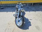 2009 Harley-Davidson FLS
