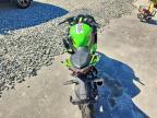 2024 Kawasaki EX500 H