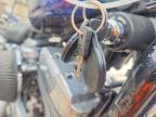 2006 Harley-Davidson XL883 L