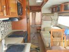 2006 Sunnybrook 31B