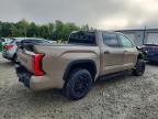 2025 Toyota Tundra TRD PRO HV