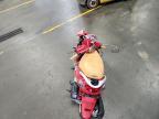 2008 Genuine Scooter Co. Buddy 150