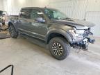 2019 Ford F150 Raptor