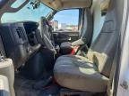 2023 GMC Savana Cutaway G3500 BOX Truck
