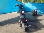 2019 Harley-Davidson Fxbb