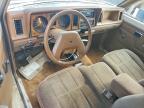 1988 Ford Ranger