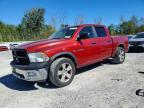 2009 Dodge RAM 1500