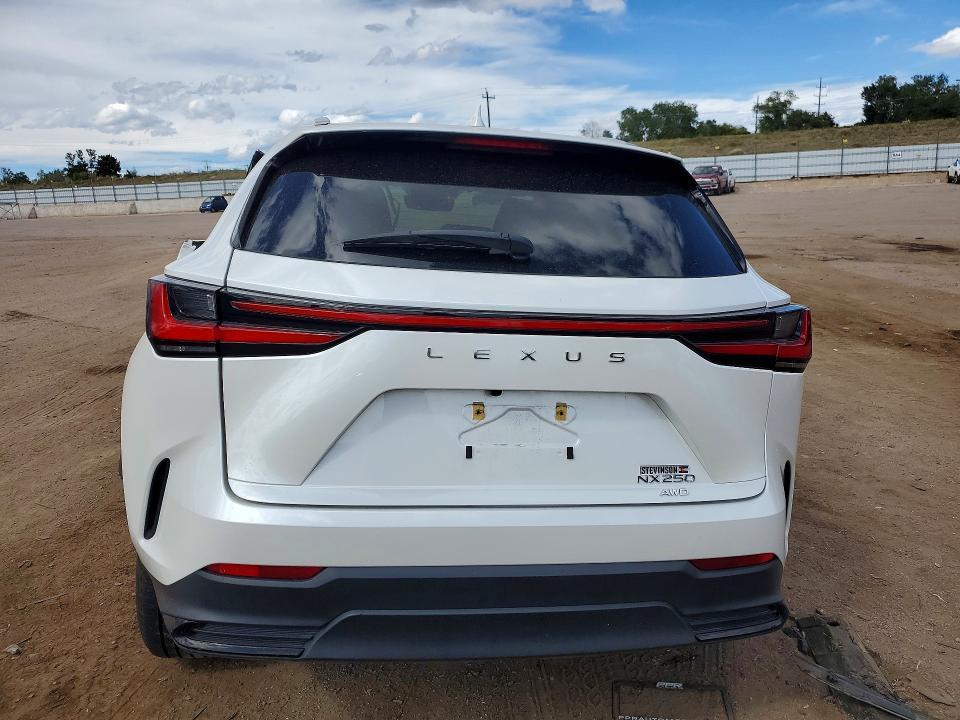 2022 Lexus NX 250