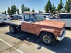 1982 Jeep Jeep Truck J10